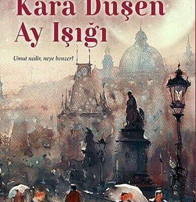 Kara Düşen Ay Işığı