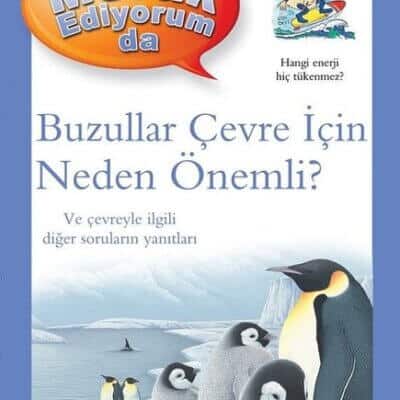 Buzullar Çevre İçin Neden Önemli? – Merak Ediyorum da