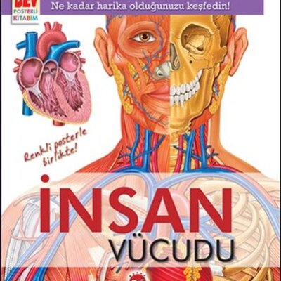 İnsan Vücudu