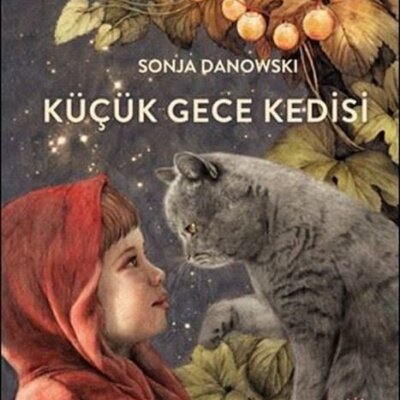 Küçük Gece Kedisi