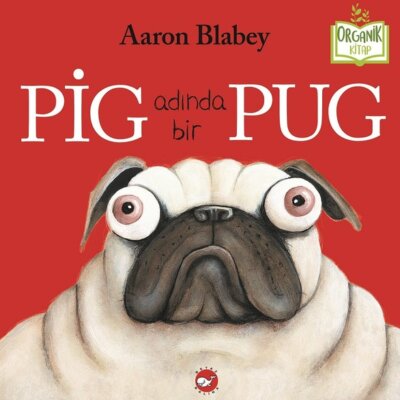 Pig Adında Bir Pug